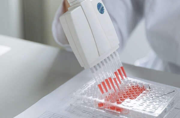 InmunoVet_BIOQUIMICA