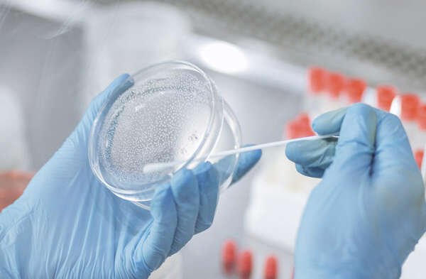 InmunoVet_MICROBIOLOGIA