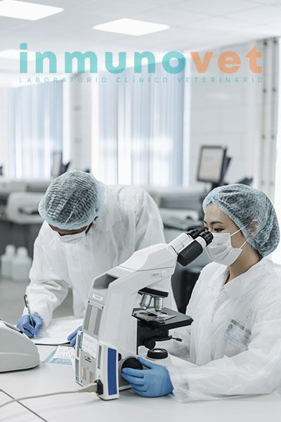 Inmuno_Vet_beneficios